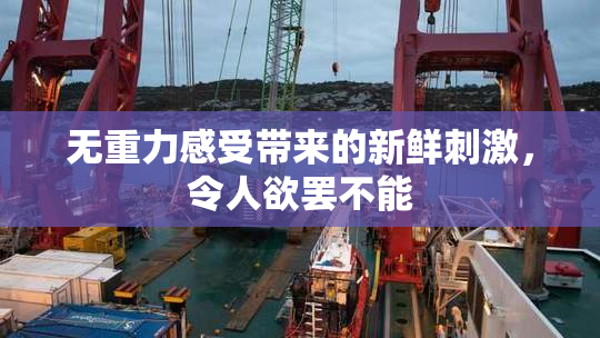 无重力感受带来的新鲜刺激，令人欲罢不能