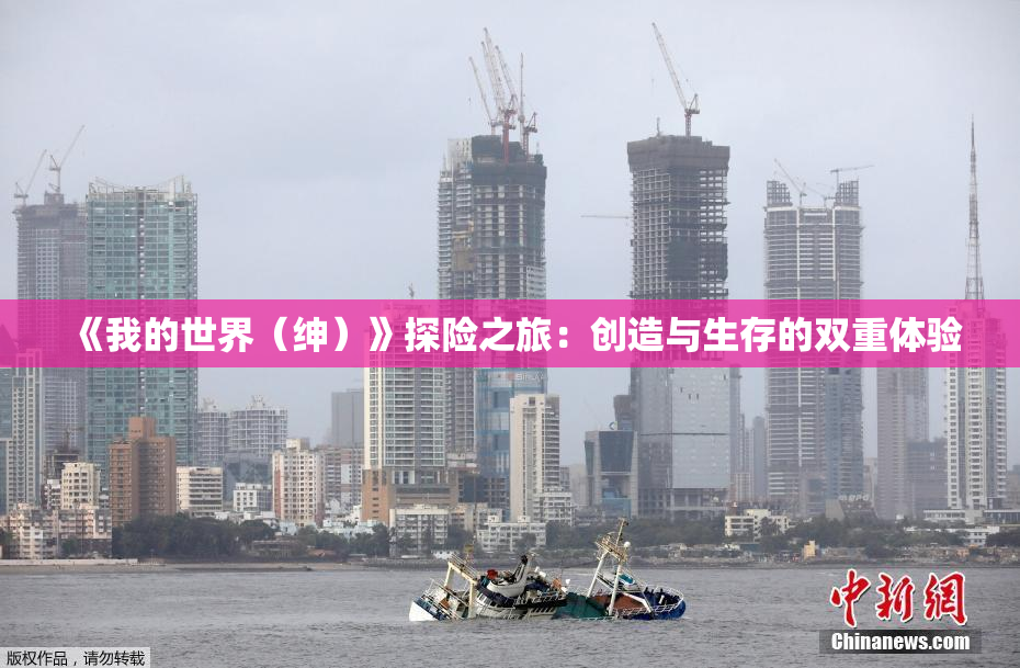 《我的世界（绅）》探险之旅：创造与生存的双重体验