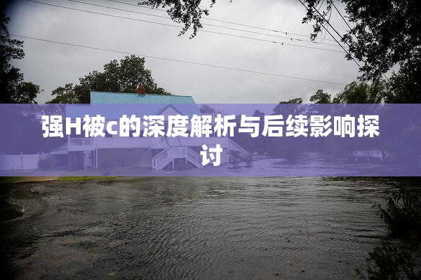 强H被c的深度解析与后续影响探讨