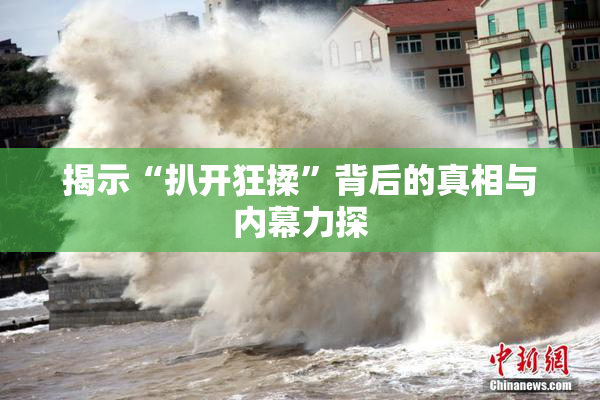 揭示“扒开狂揉”背后的真相与内幕力探