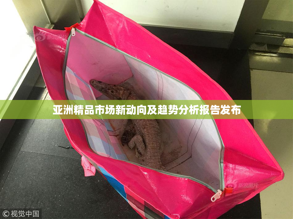 亚洲精品市场新动向及趋势分析报告发布