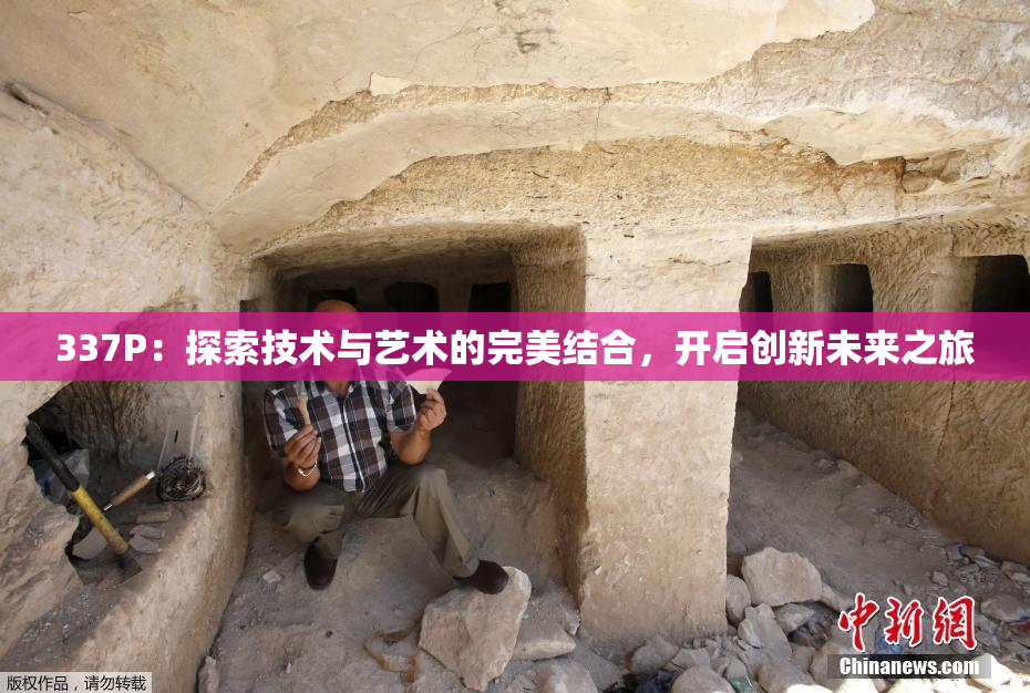 337P：探索技术与艺术的完美结合，开启创新未来之旅