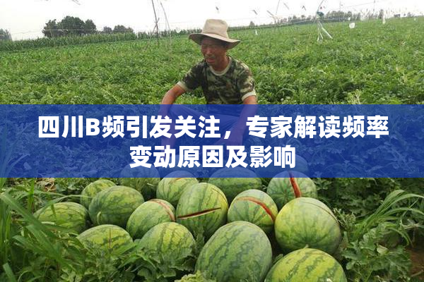 四川B频引发关注，专家解读频率变动原因及影响