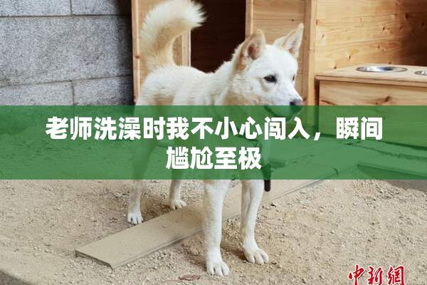 老师洗澡时我不小心闯入，瞬间尴尬至极