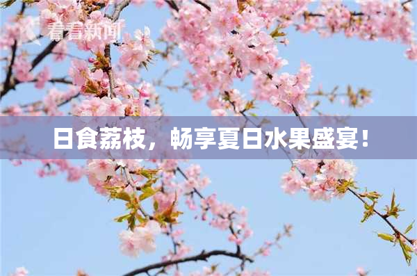 日食荔枝，畅享夏日水果盛宴！