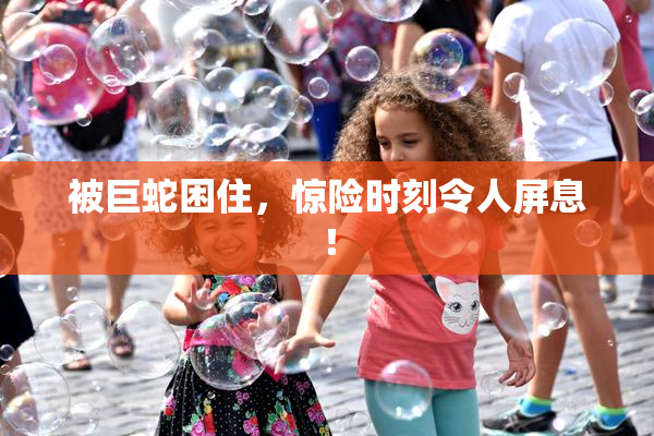 被巨蛇困住，惊险时刻令人屏息！