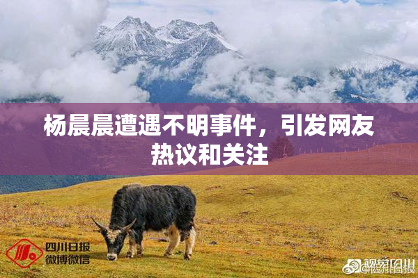 杨晨晨遭遇不明事件，引发网友热议和关注
