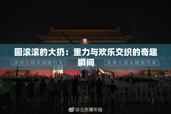 圆滚滚的大扔：重力与欢乐交织的奇趣瞬间
