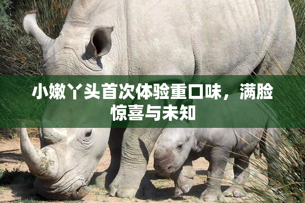 小嫩丫头首次体验重口味，满脸惊喜与未知