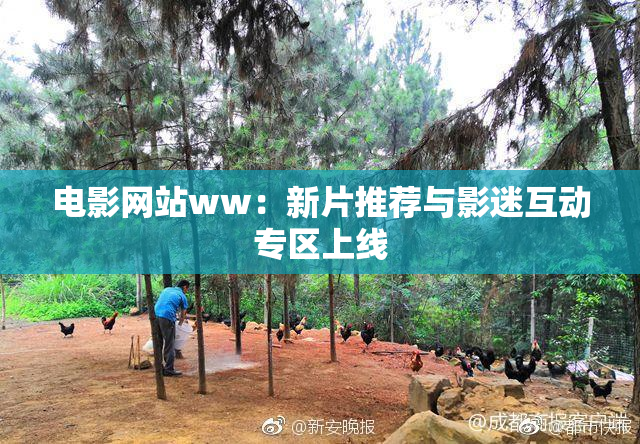 电影网站ww：新片推荐与影迷互动专区上线