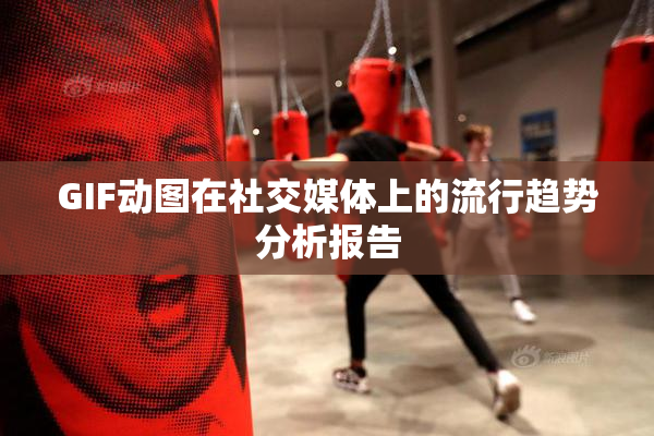 GIF动图在社交媒体上的流行趋势分析报告