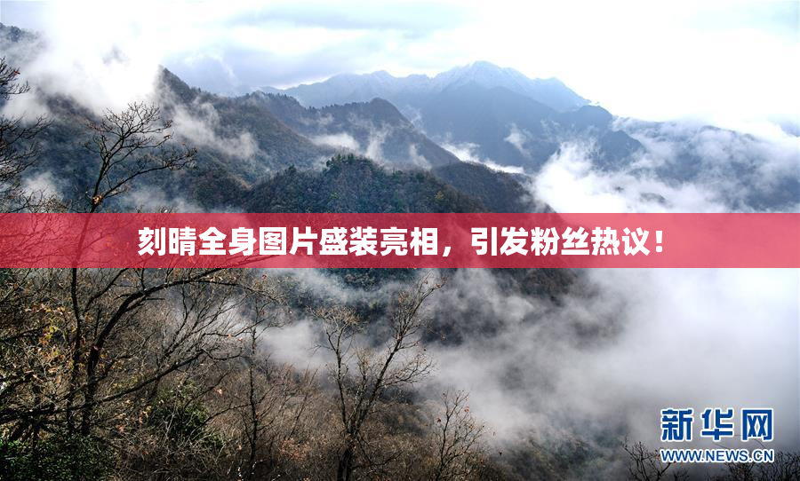 刻晴全身图片盛装亮相，引发粉丝热议！