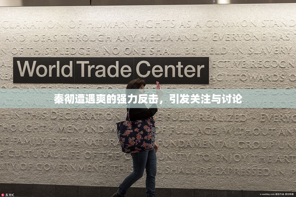 秦彻遭遇爽的强力反击，引发关注与讨论