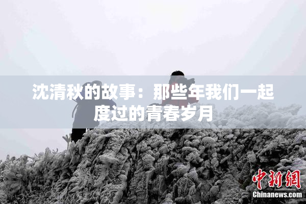 沈清秋的故事：那些年我们一起度过的青春岁月