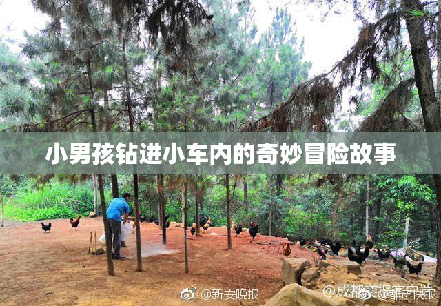 小男孩钻进小车内的奇妙冒险故事