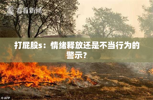 打屁股s：情绪释放还是不当行为的警示？