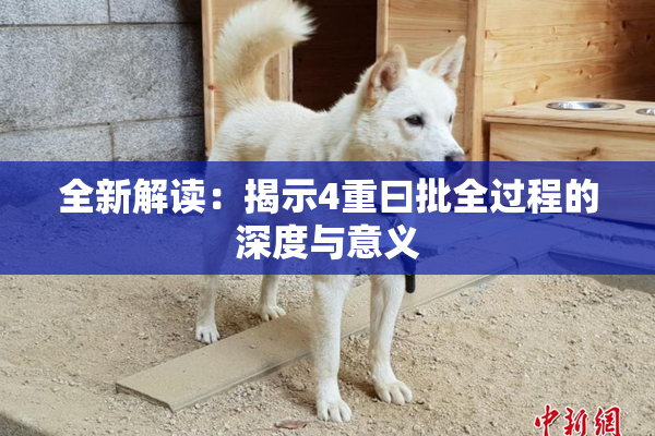 全新解读：揭示4重曰批全过程的深度与意义