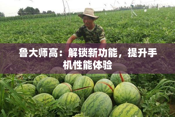 鲁大师高：解锁新功能，提升手机性能体验
