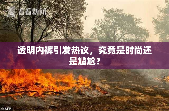 透明内裤引发热议，究竟是时尚还是尴尬？