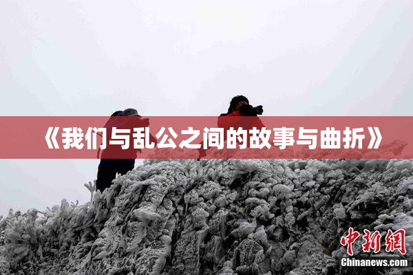 《我们与乱公之间的故事与曲折》