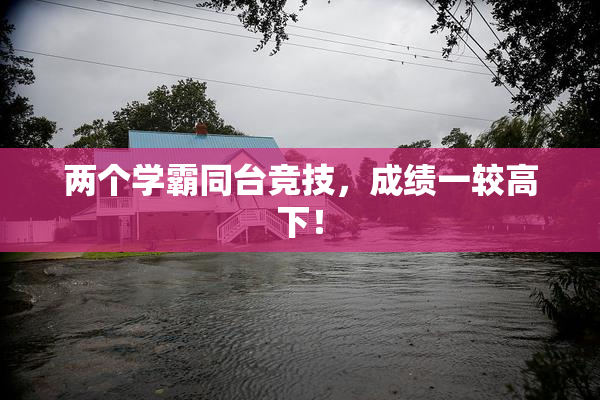 两个学霸同台竞技，成绩一较高下！