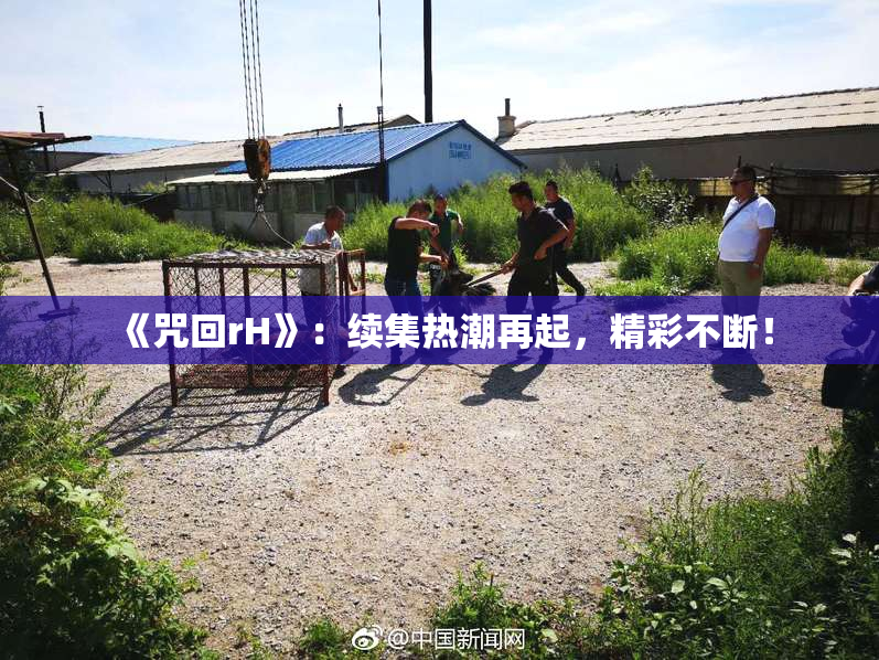 《咒回rH》：续集热潮再起，精彩不断！