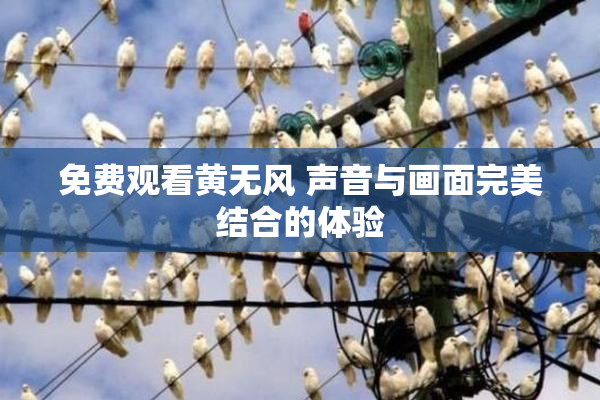 免费观看黄无风 声音与画面完美结合的体验