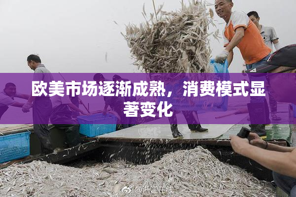欧美市场逐渐成熟，消费模式显著变化