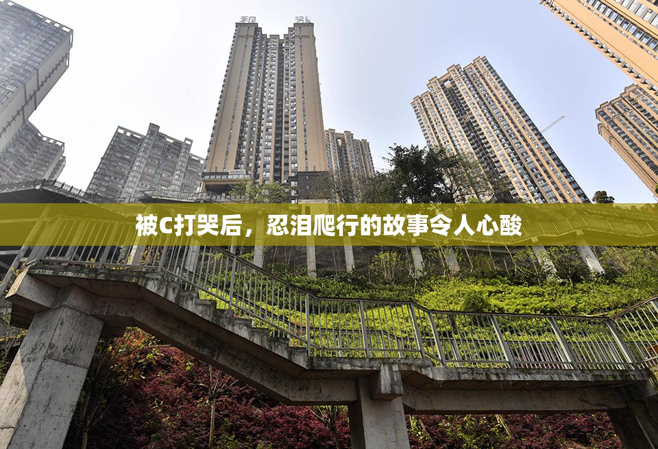 被C打哭后，忍泪爬行的故事令人心酸