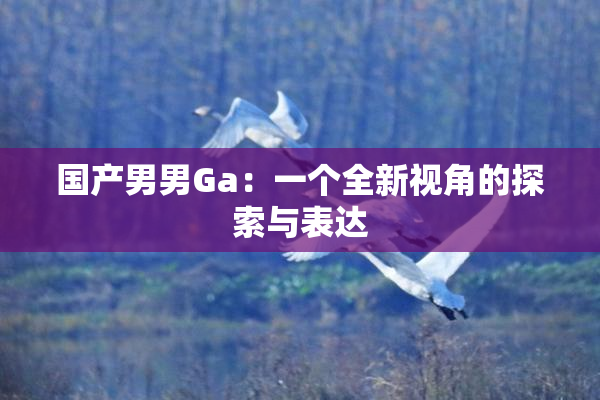 国产男男Ga：一个全新视角的探索与表达