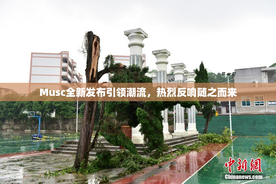 Musc全新发布引领潮流，热烈反响随之而来