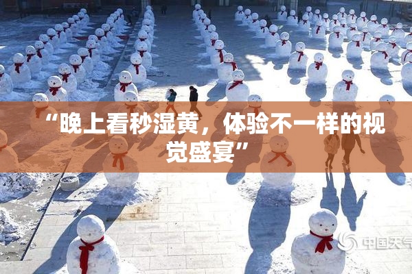 “晚上看秒湿黄，体验不一样的视觉盛宴”