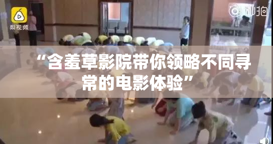 “含羞草影院带你领略不同寻常的电影体验”