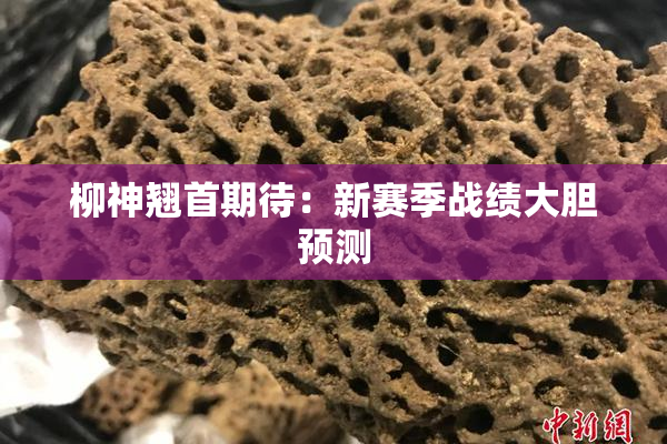 柳神翘首期待：新赛季战绩大胆预测