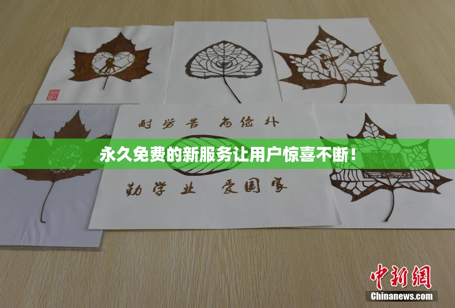 永久免费的新服务让用户惊喜不断！
