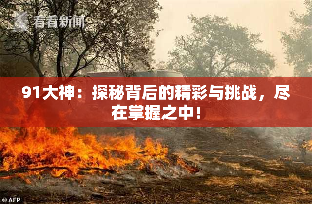 91大神：探秘背后的精彩与挑战，尽在掌握之中！