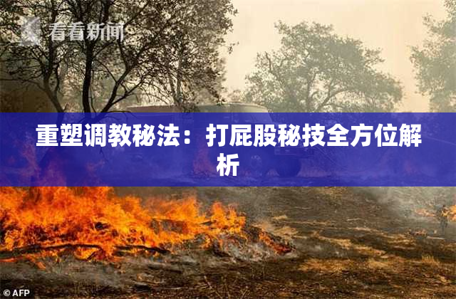 重塑调教秘法：打屁股秘技全方位解析