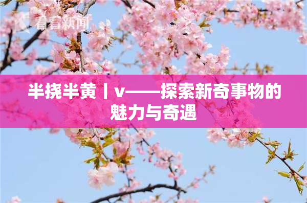 半挠半黄丨v——探索新奇事物的魅力与奇遇