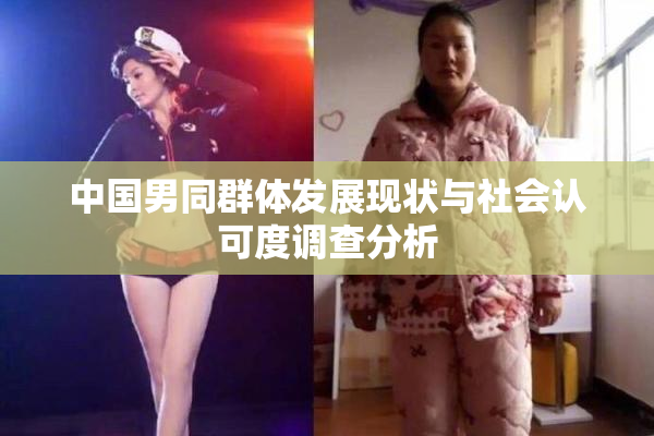 中国男同群体发展现状与社会认可度调查分析