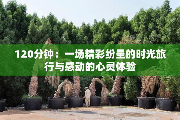 120分钟：一场精彩纷呈的时光旅行与感动的心灵体验