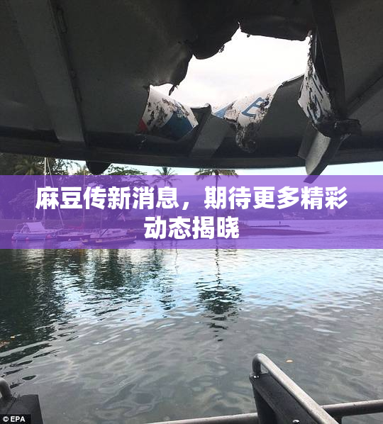 麻豆传新消息，期待更多精彩动态揭晓