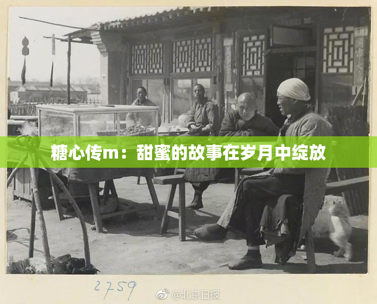糖心传m：甜蜜的故事在岁月中绽放