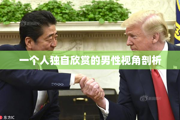 一个人独自欣赏的男性视角剖析