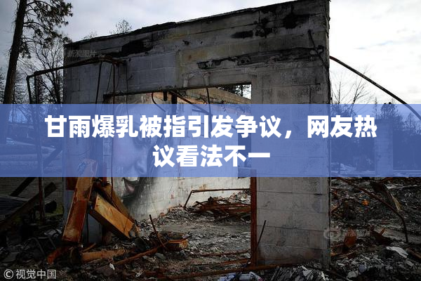 甘雨爆乳被指引发争议，网友热议看法不一