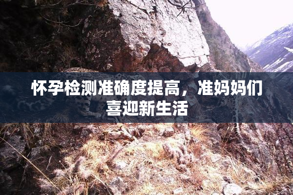 怀孕检测准确度提高，准妈妈们喜迎新生活