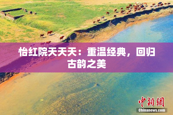 怡红院天天天：重温经典，回归古韵之美