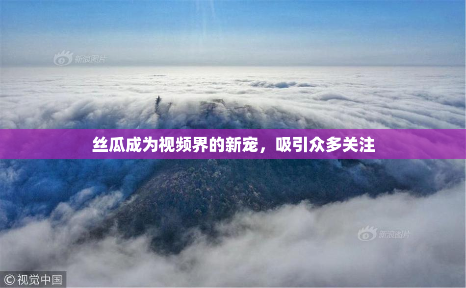 丝瓜成为视频界的新宠，吸引众多关注