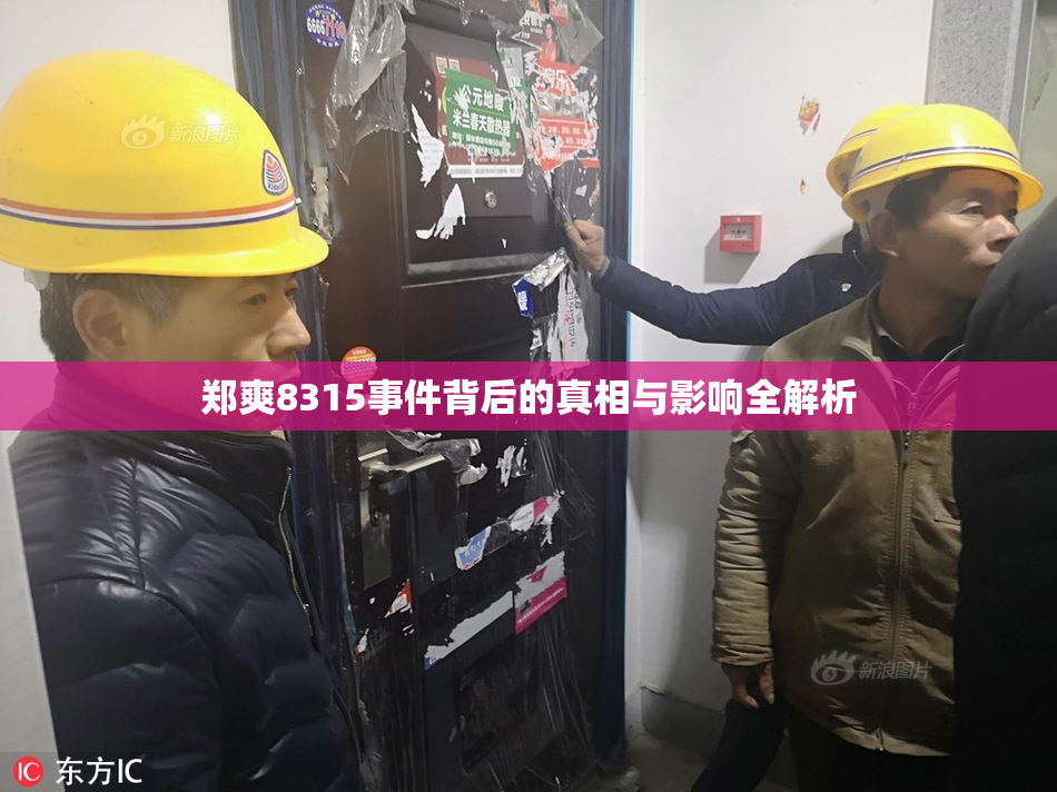 郑爽8315事件背后的真相与影响全解析