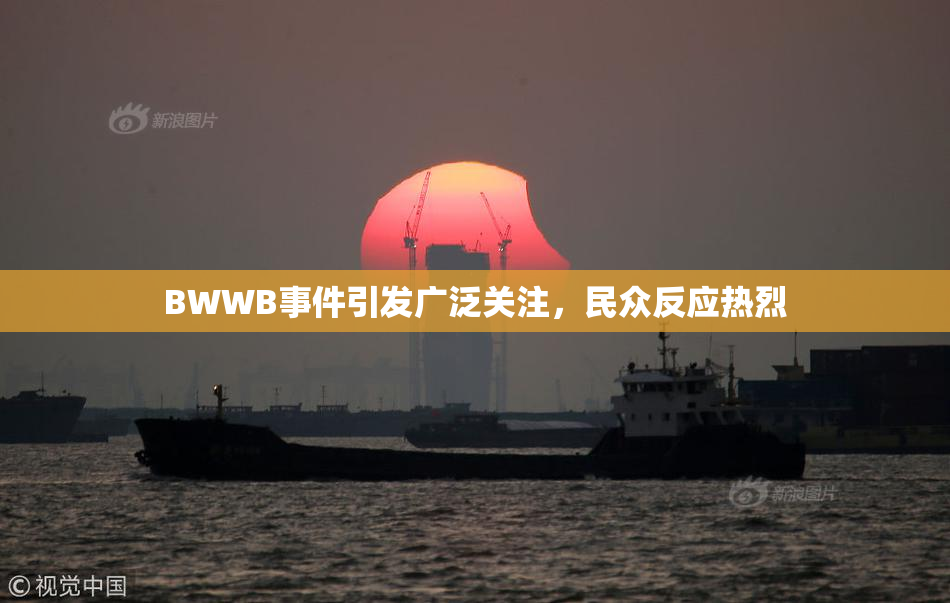 BWWB事件引发广泛关注，民众反应热烈