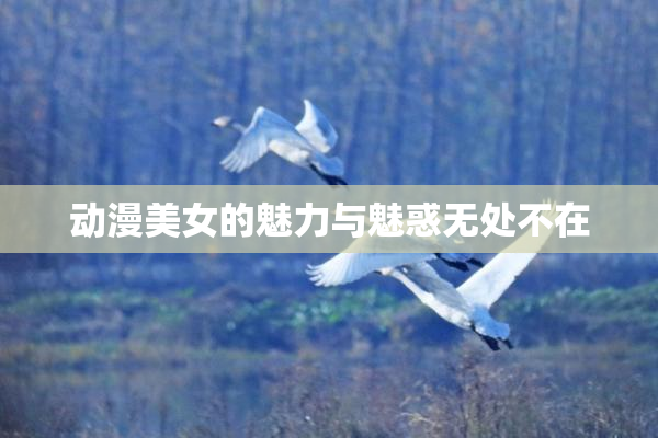 动漫美女的魅力与魅惑无处不在